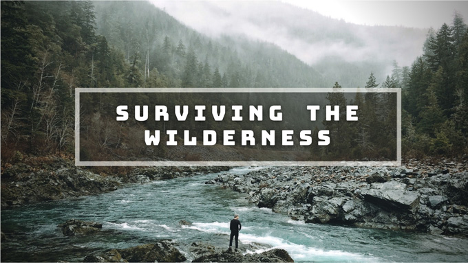 Surviving the Wilderness